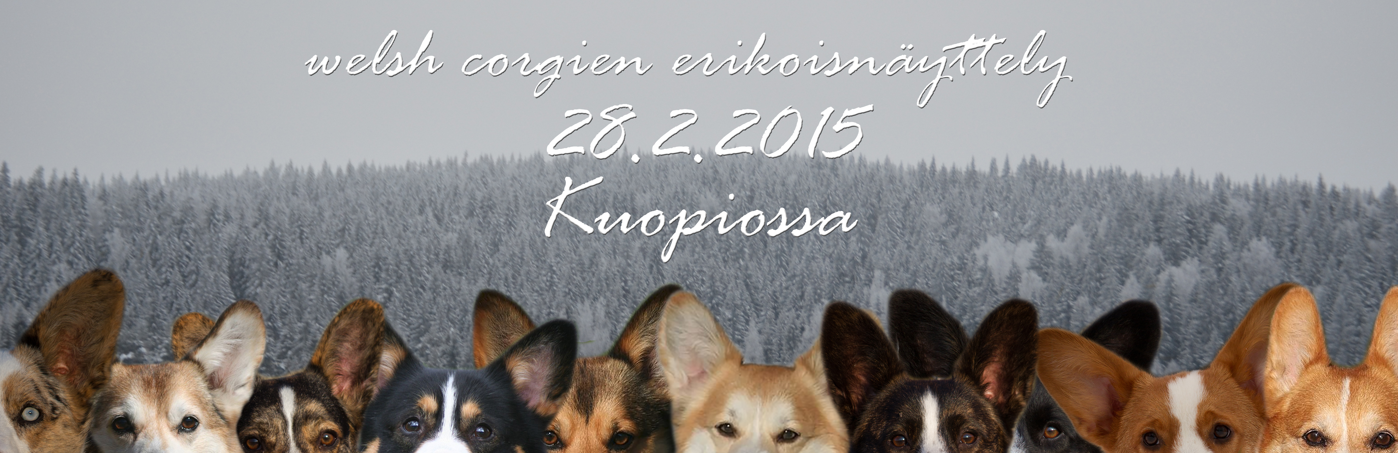 kuopio_erkkalogo_tekstilla