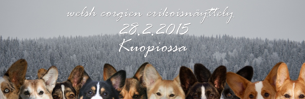 kuopio_erkkalogo_tekstilla_netti