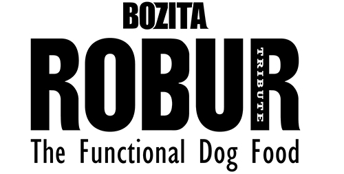 2009 bozita_robur_logo_black_hires